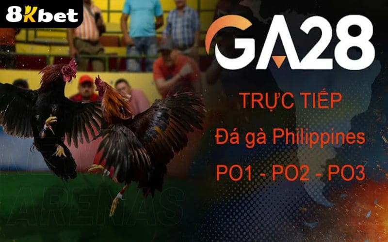 Giới thiệu về sảnh đá gà GA28 tại 8KBET Giới thiệu về sảnh đá gà GA28 tại 8KBET